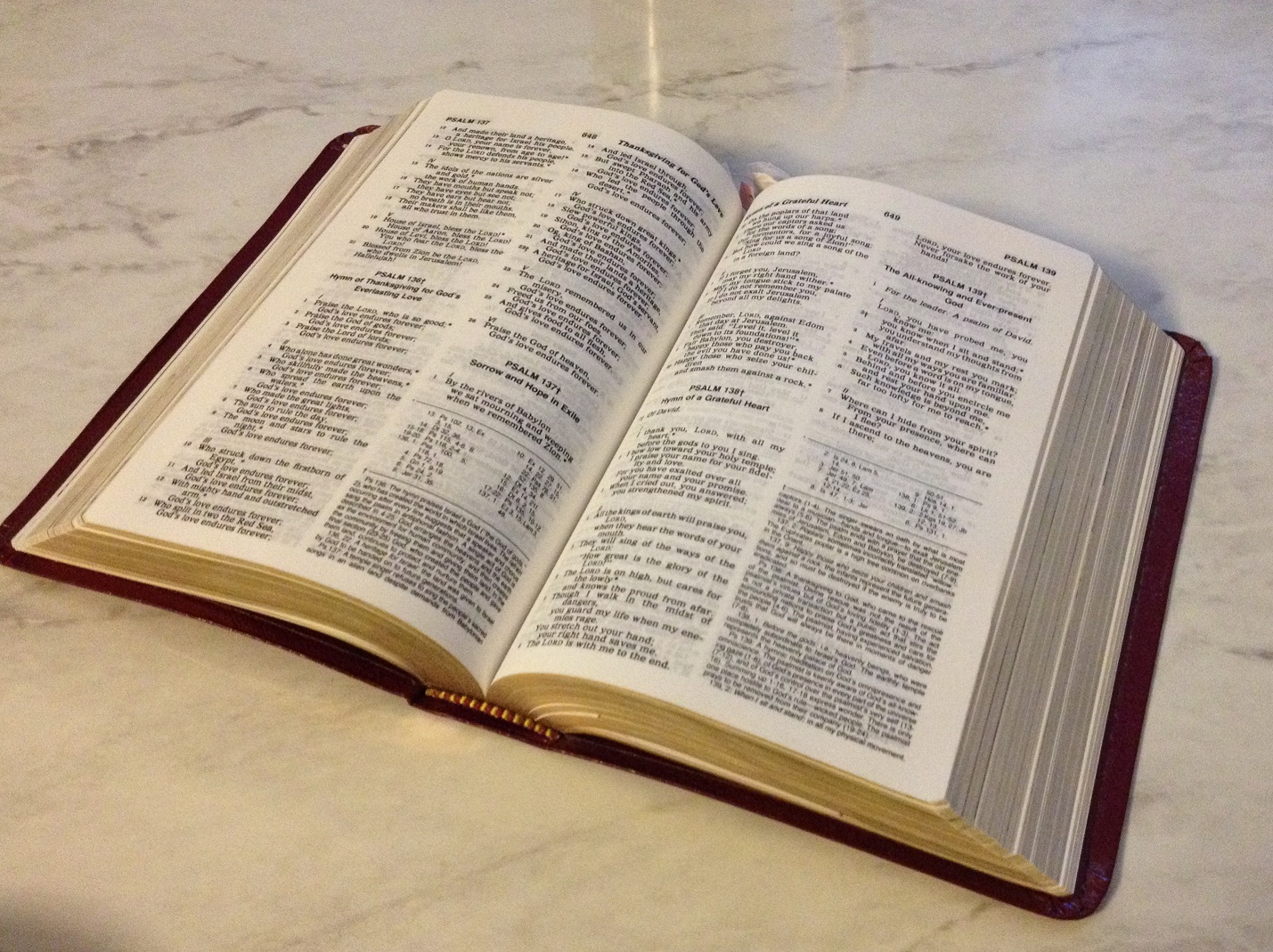 Read more about the article Daily Readings at Mass