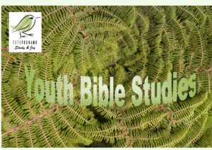 Bible Study Lockdown Initiative