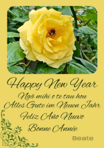 Read more about the article Happy New Year