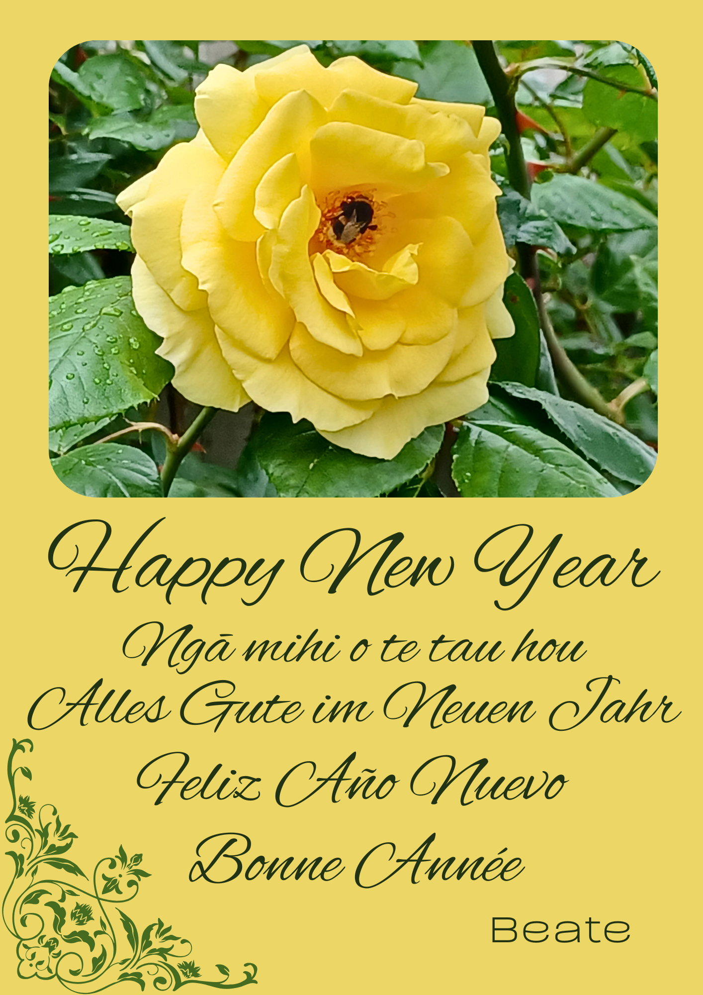 Read more about the article Happy New Year