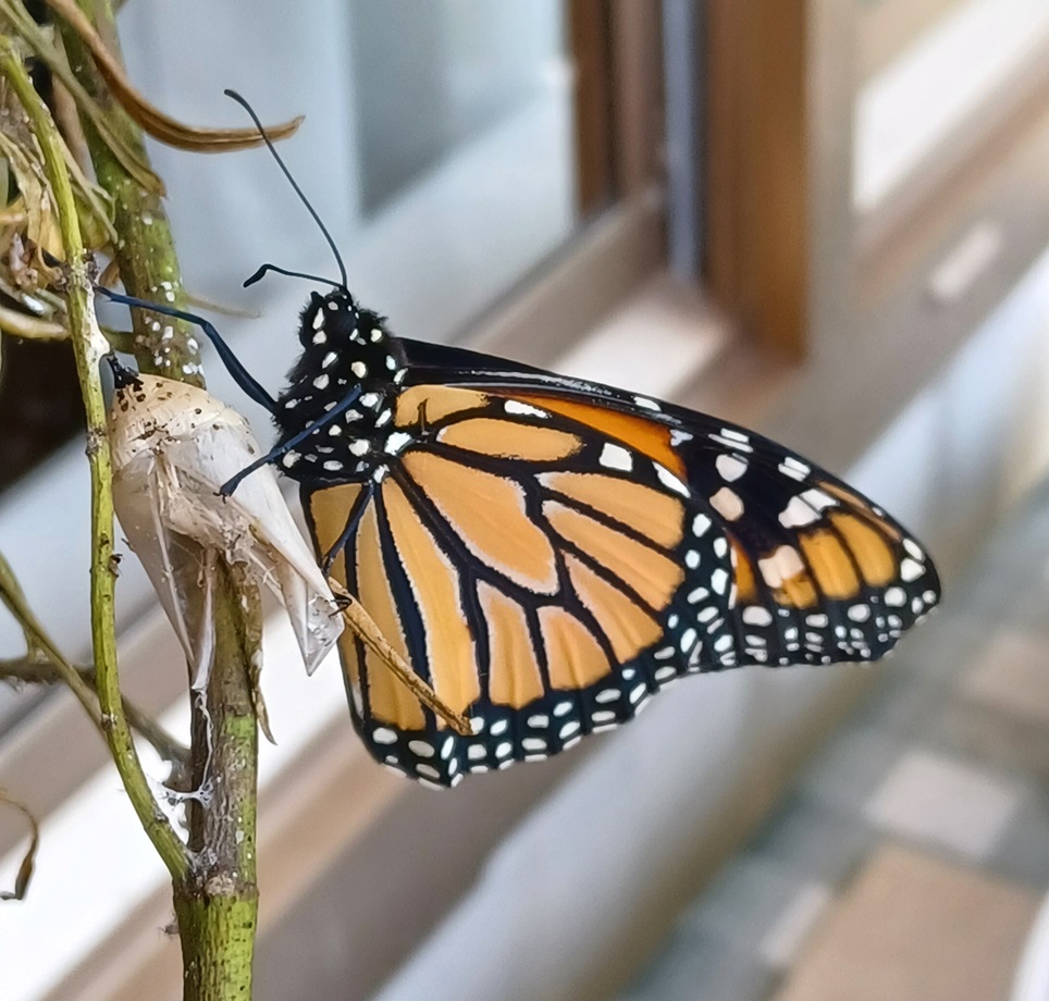 Read more about the article Quote of the Day