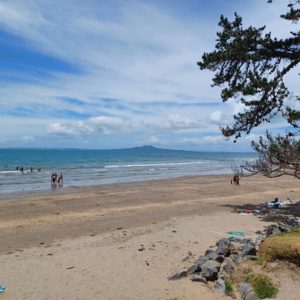 Read more about the article Quote of the Day