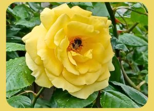 Read more about the article Quote of the Day