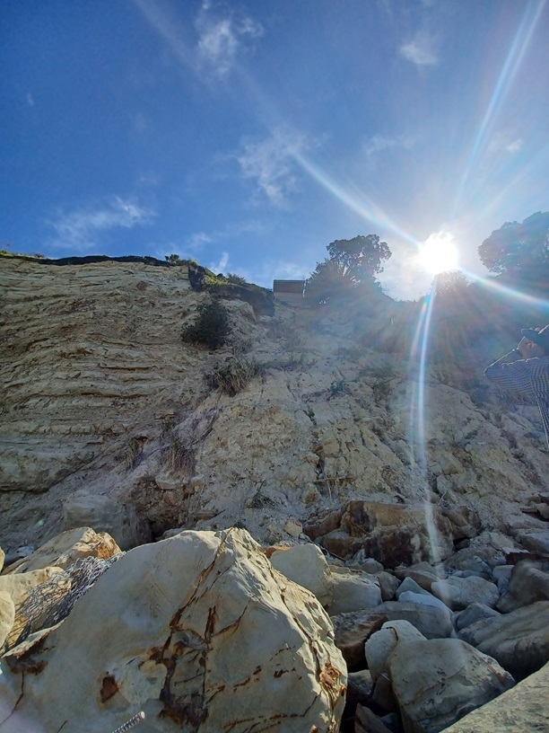 Read more about the article Quote of the Day