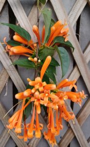 Read more about the article Quote of the Day