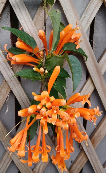 Read more about the article Quote of the Day