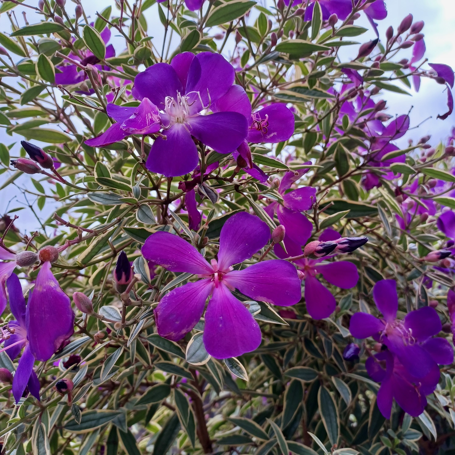 Read more about the article Quote of the Day