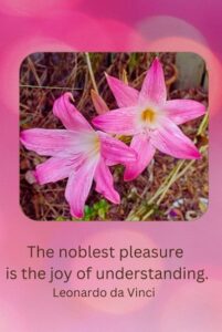 Read more about the article Order Form – Greeting Cards