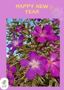 Read more about the article Best wishes for 2025