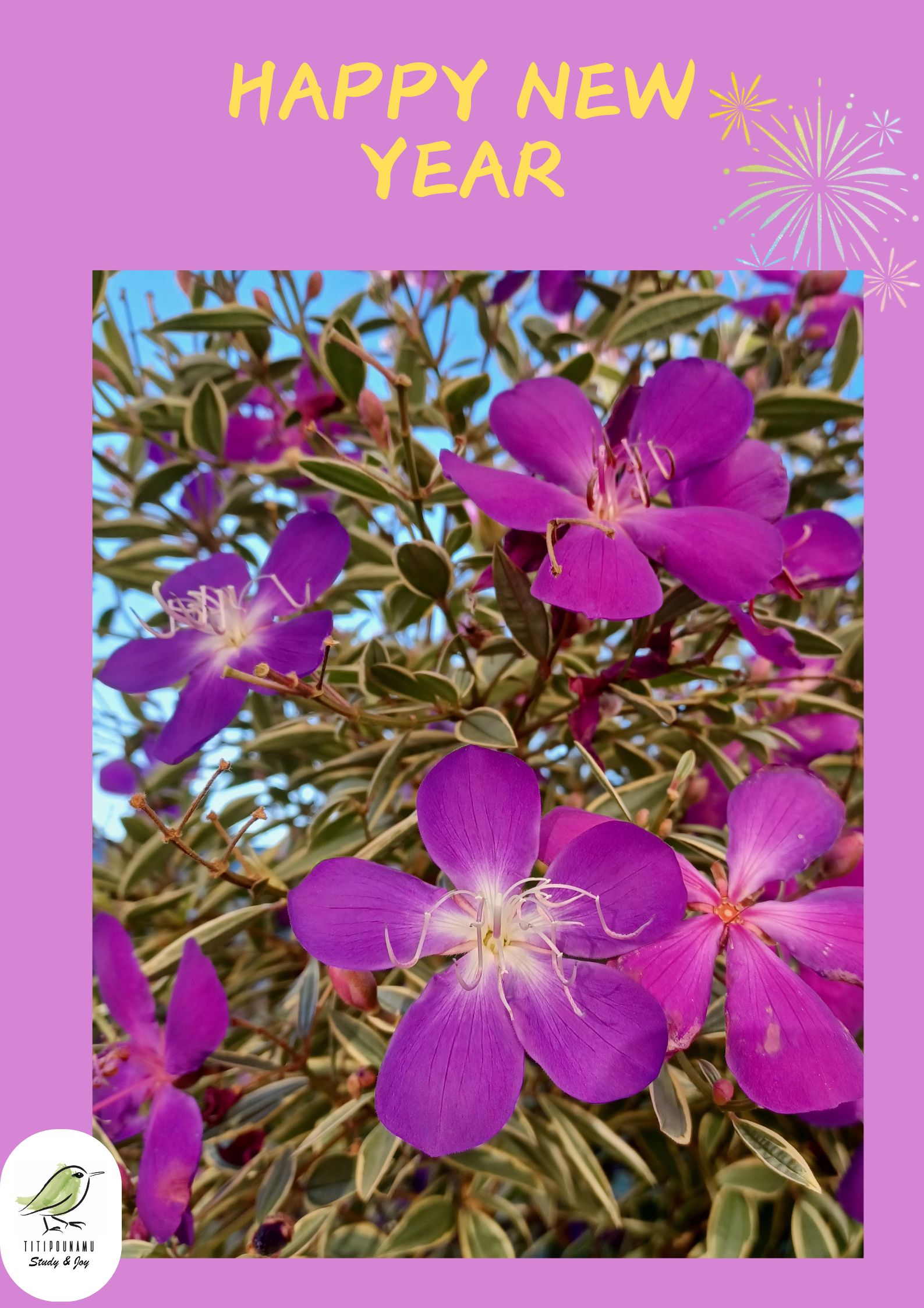 Read more about the article Best wishes for 2025