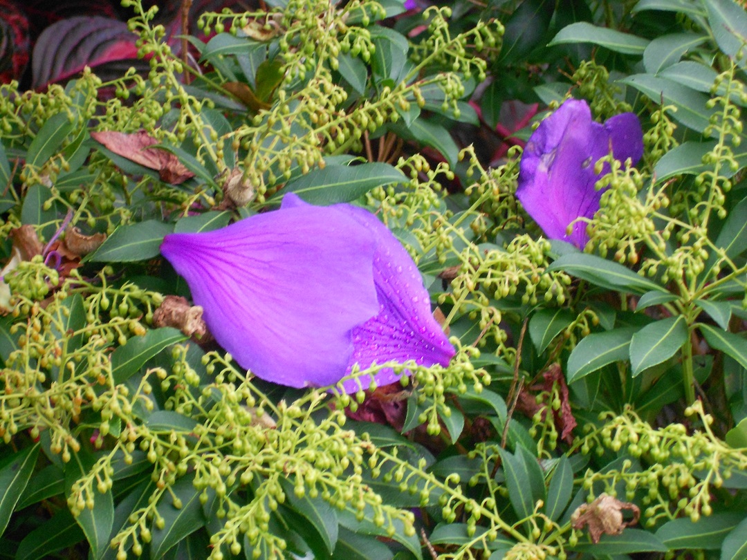 Read more about the article Quote of the Day