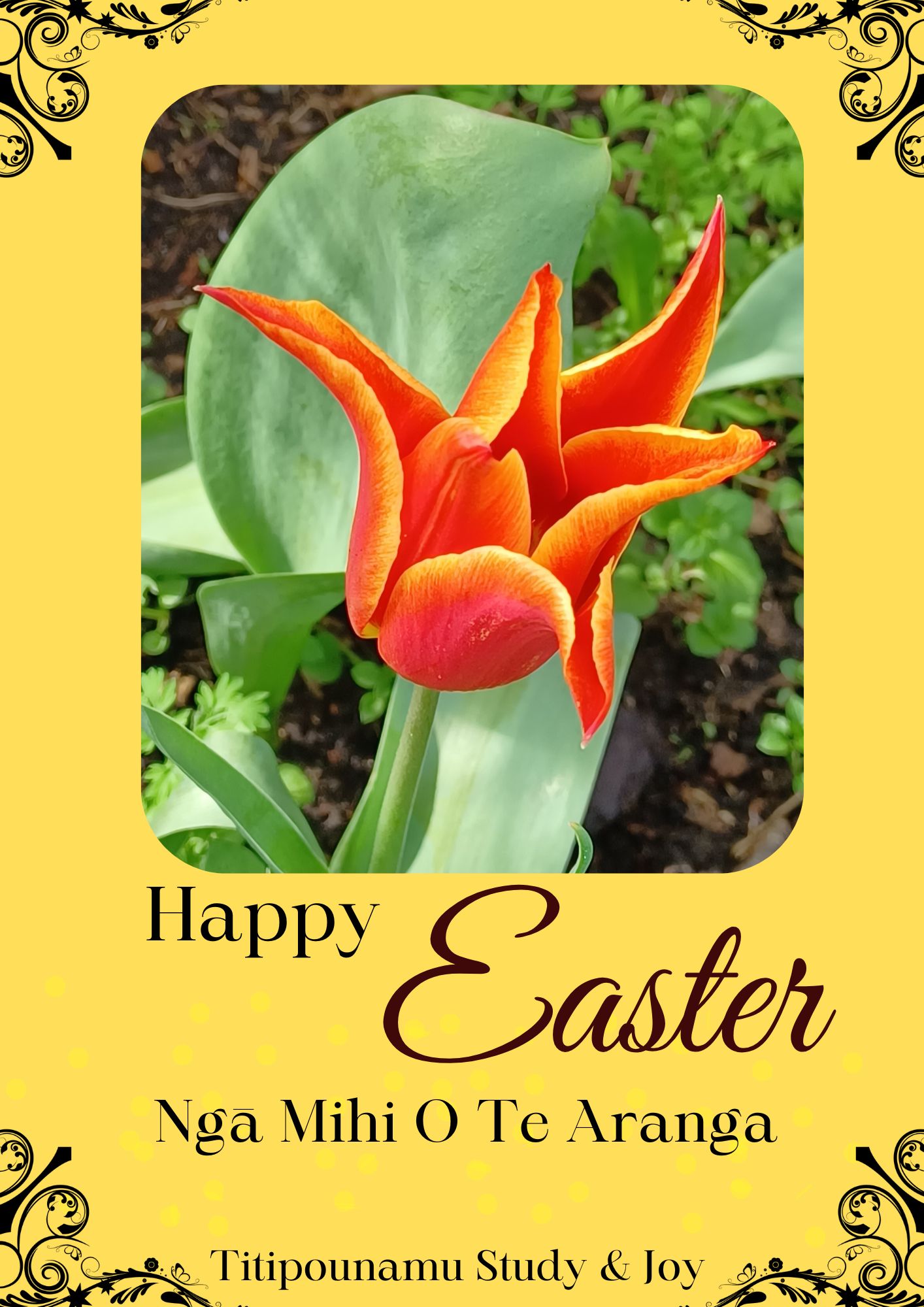 Read more about the article Easter Sunday