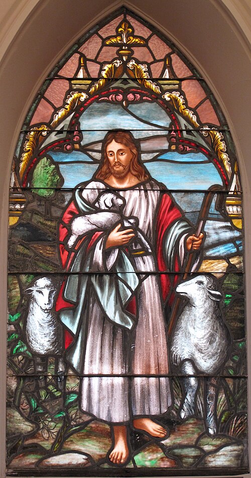 Read more about the article The Good Shepherd