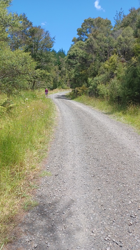 Read more about the article Sent on a Journey