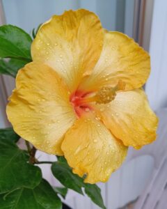 Read more about the article Quote of the Day