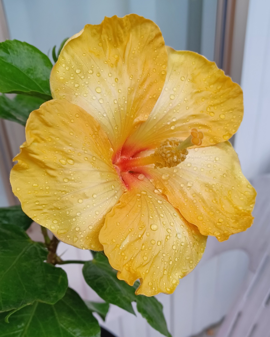 Read more about the article Quote of the Day