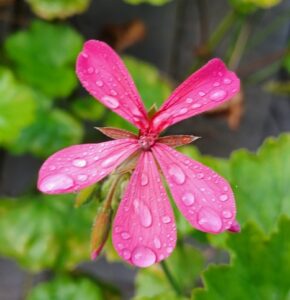 Read more about the article Humility