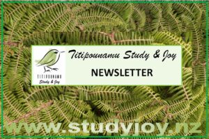 Read more about the article Newsletter