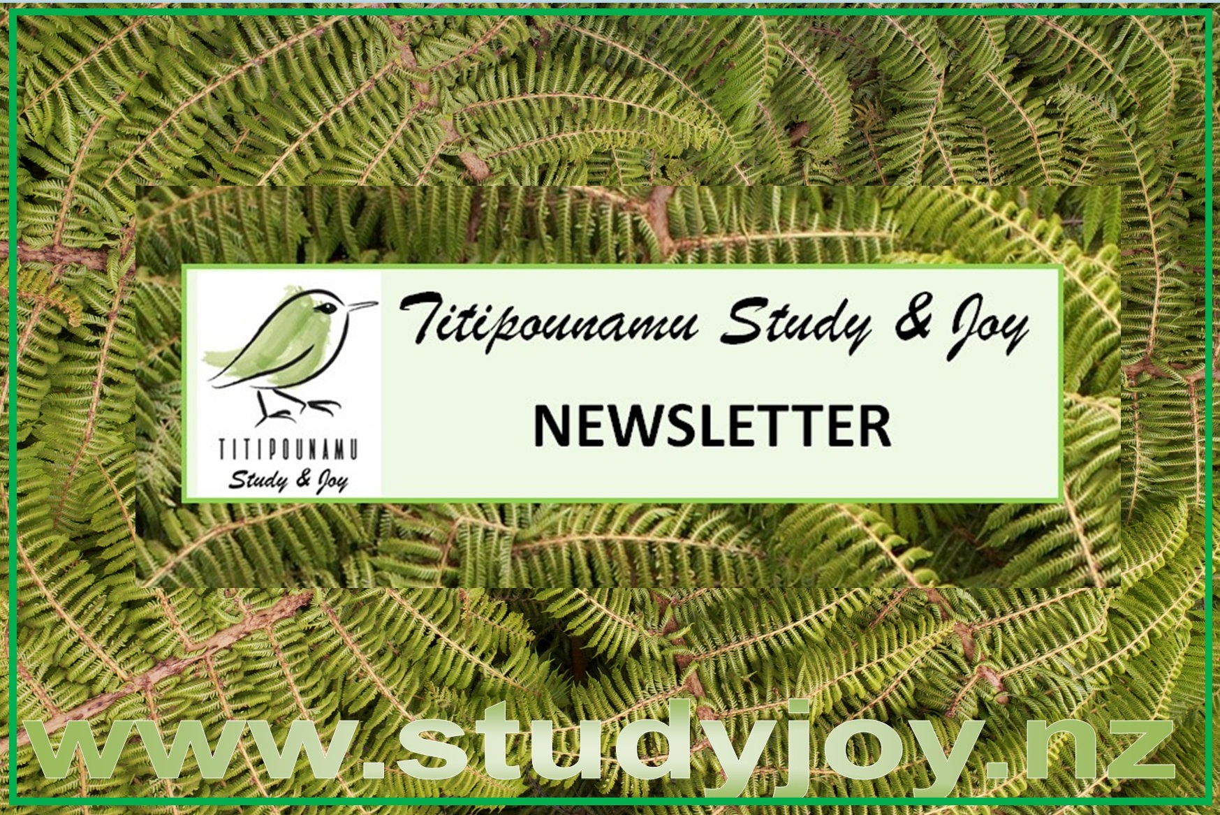 Read more about the article Newsletter