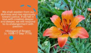 Read more about the article Quote of the Day