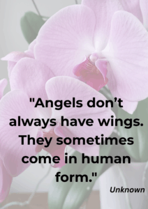 Read more about the article Quote of the Day