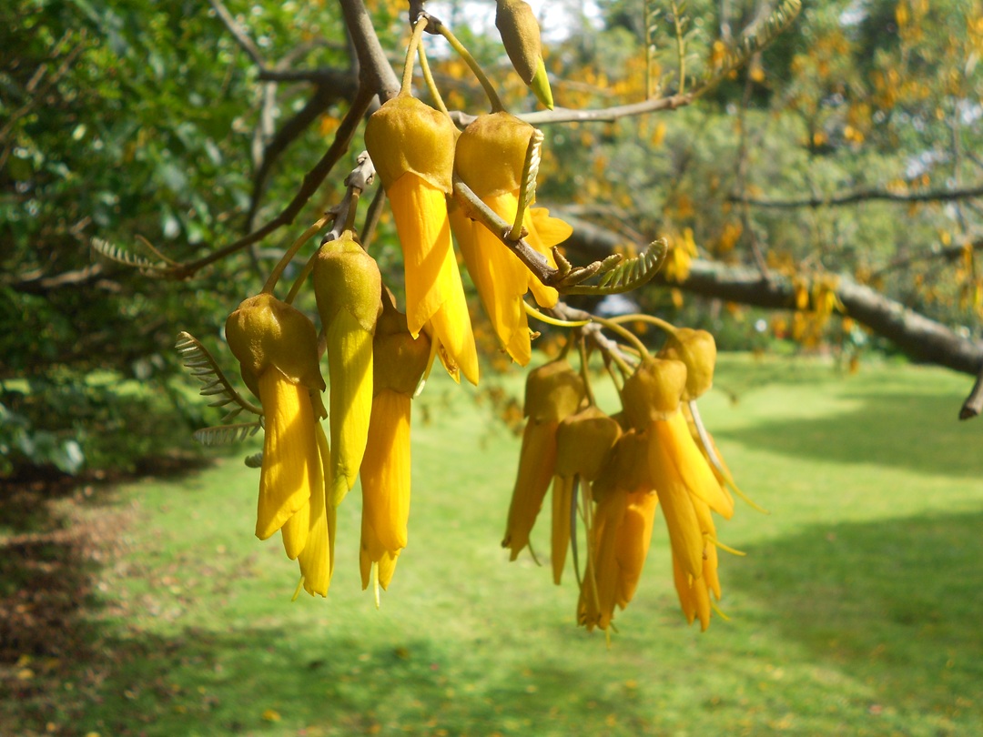 Read more about the article All Souls Day & Grief