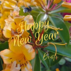 Read more about the article Quote of the Day