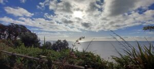 Read more about the article The Great Light