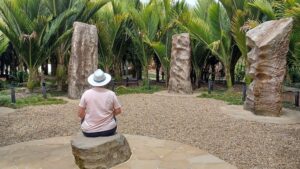 Read more about the article Choice & Purpose