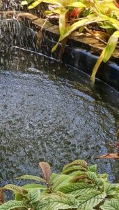 Read more about the article Living Water