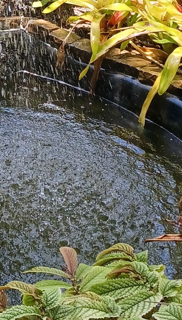 Read more about the article Living Water