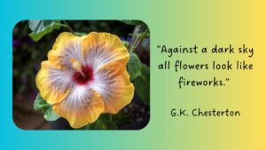 Read more about the article Quote of the Day