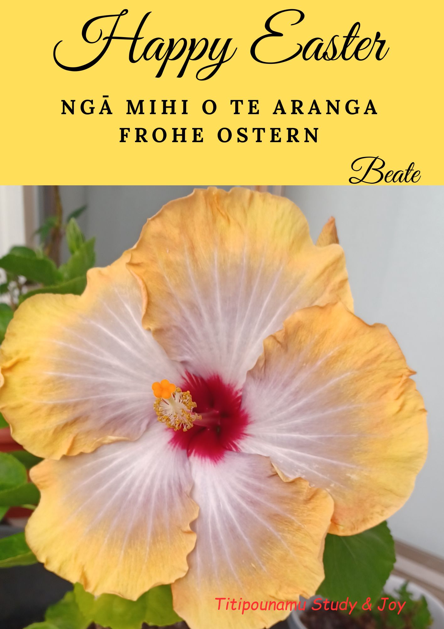 Read more about the article Happy Easter