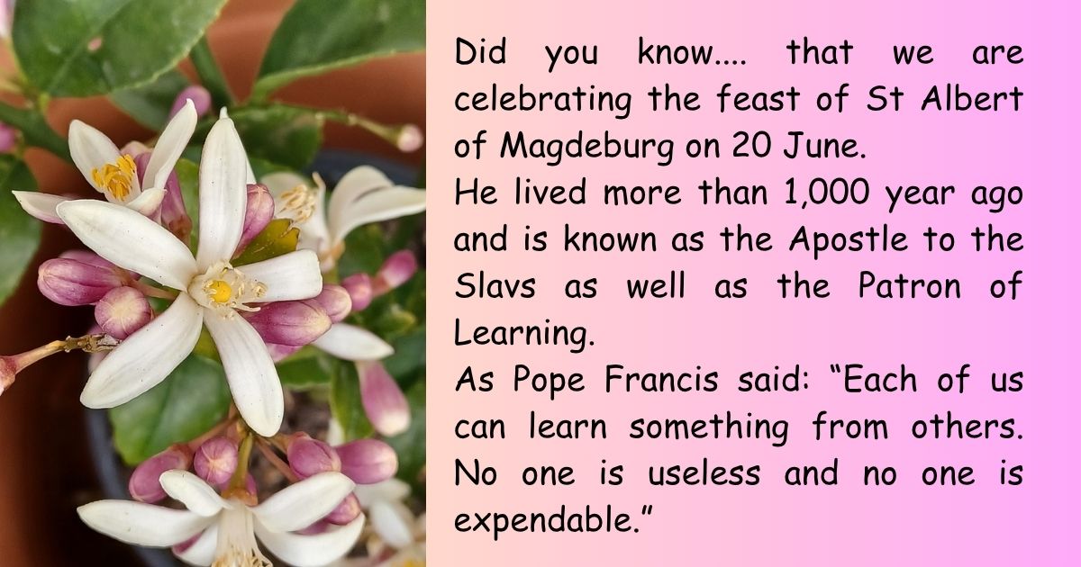 Read more about the article Quote of the Day