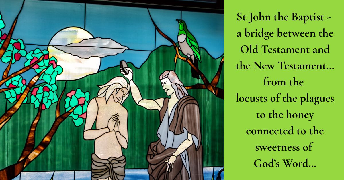 Read more about the article Feast of St John the Baptist