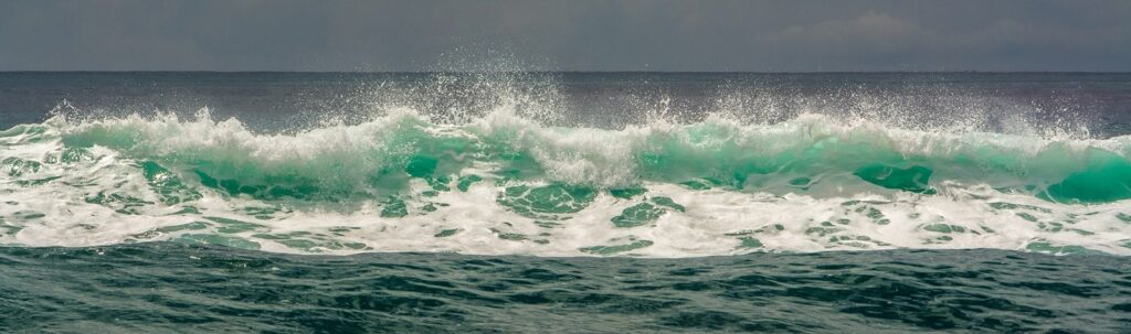 Waves