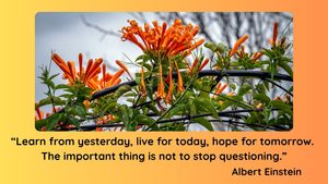 Read more about the article Quote of the Day