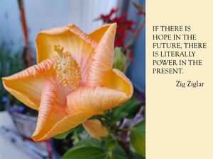 Read more about the article Quote of the Day